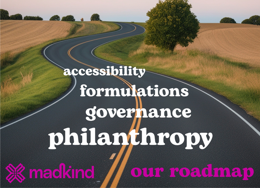 our roadmap